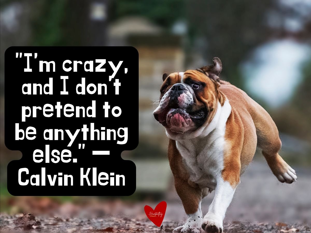  life is crazy quotes